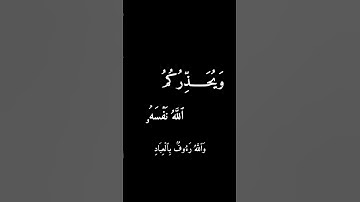 كورما قرأن الكريم بصوت محمد اللحيدان#سورة_آل_عمران