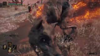 So This Just Happened While I Was Talking To A Finger Reader | Elden Ring Clips
#shorts
Elden Ring is the latest From Software game, and while it is not a sequel to the Dark Souls series, it does share many similarities - as well as many new aspects and mechanics not found in other From Software games, including Dark Souls, Bloodborne, and Sekiro!
Subscribe to my channel to see more funny and entertaining videos: https://www.youtube.com/channel/UCJUuvjYXYMnaTIYw49GGrpg
#game
#gaming
#eldenring
#eldenringcampaign
#eldenringfunnymoments So This Just Happened While I Was Talking To A Finger Reader | Elden Ring Clips
