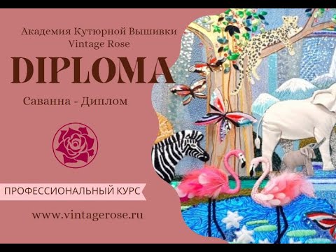 Обзор всех ступеней Профессиональной Программы 