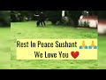 Sushant Singh Rajput With his Petdog  🐶 This video will make you 😢 😔