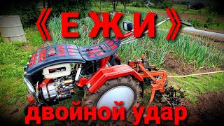 Обработка картофеля ежами 2021!!! Двойной удар!!!