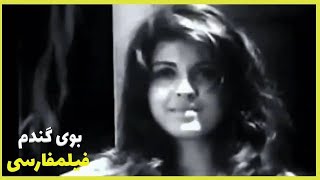 نسخه کامل فیلم فارسی بوی گندم | Filme Farsi Booye Gandom 