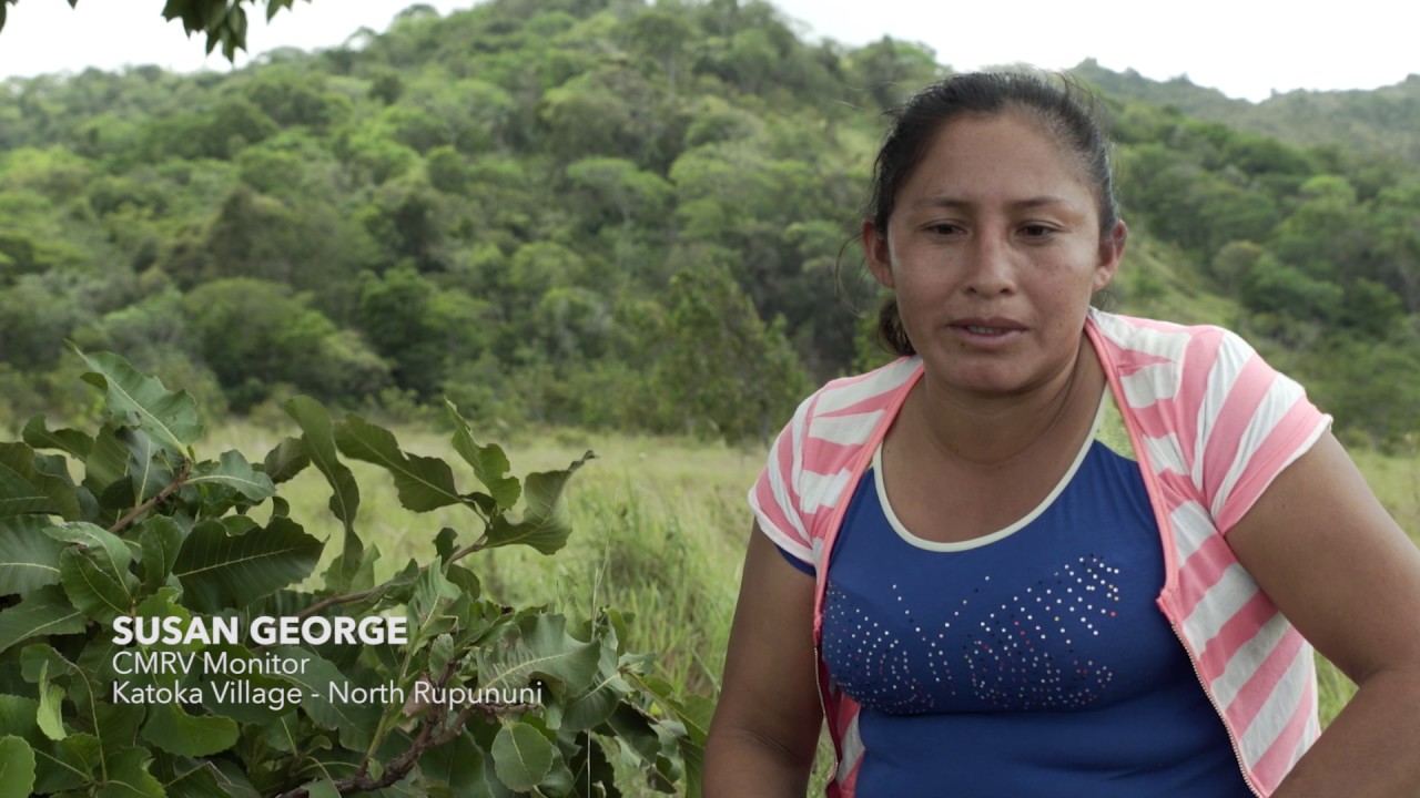 Guyana pioneers Community MRV