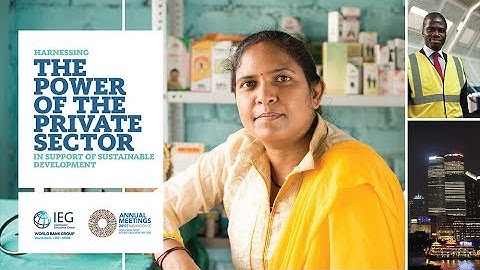 IEG Event: Harnessing the Power of the Private Sector in Support of Sustainable Development