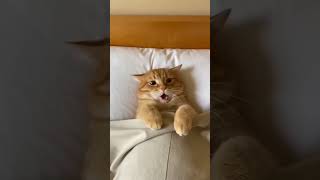 He Almost Lost A Life In His Dream