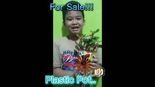 advertising my own product ( performance task in hele ) grade 4