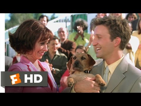 Garfield (3/5) Movie CLIP – Odie Steals the Show (2004) HD