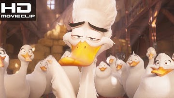 Migration (2023) | Mallards meets the White Pekins scene | [HD 1080p] MOVIECLIPS HD