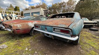 The BLACKBERRY Camaro: The Good, The Bad, & The Rusty #musclecar #1967camaro #camaro by DezzysSpeedShop 20,632 views 2 months ago 26 minutes