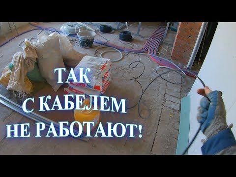 Video: Kako izračunati težo psa odraslega med psirom