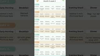 9 Month 3 week baby food chart