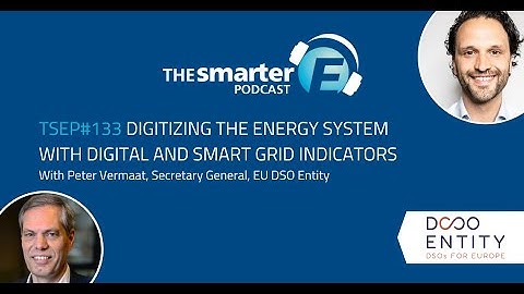 Digital Twins and Smart Grid Indicators | Peter Vermaat, EU DSO Entity | The smarter E Podcast #133