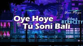 [Slowed Reverb] Oye Hoye Tu Soni Bali - Prabh - 9:45 - Vhan Muzic