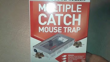Repeater Multiple Catch Mouse Trap review - catching mice in our motorhome | how to