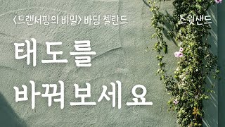 세상에 대한 여러분의 느낌은 고스란히 반영될 겁니다 / 📕트랜서핑의 비밀 바딤 젤란드 / 스윗샌드 낭독