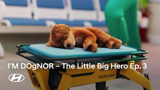 I’m Dognor | The Little Big Hero Ep. 3