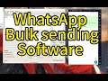 Whatsapp bulk sending software filtering marketing hash channels whatsapp