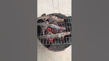 Dông cát nướng mọi đặc sản Ba Tường 0964841580