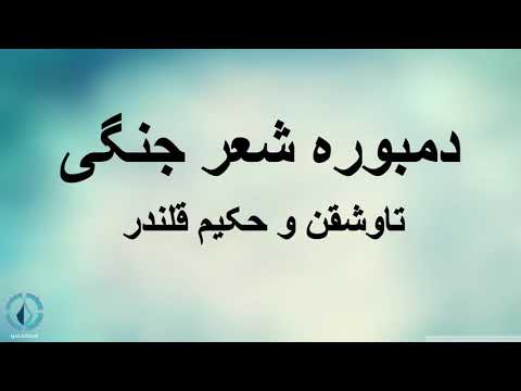 پالوان حکیم