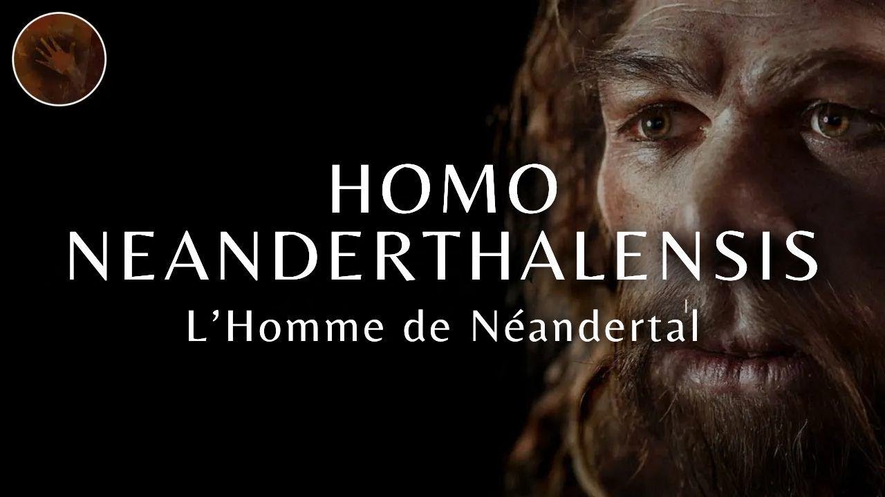 Homo Neanderthalensis : L'Homme de Néandertal | Documentaire sur les Préhistoriques