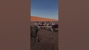 أفلا ينظرون إلى الإبل كيف خلقت ) سوره الغاشيه ( عبدالرحمن مسعد #ارح_قلبك #قرآن