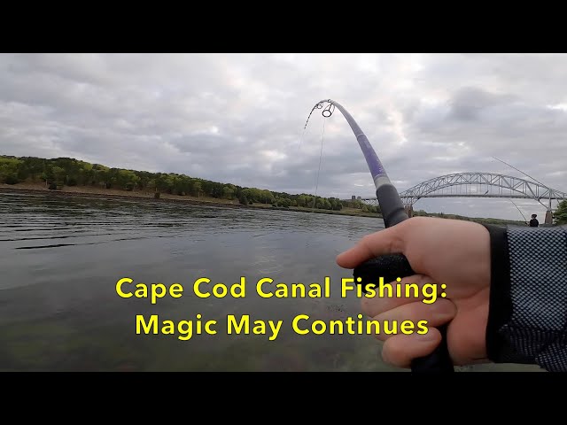 Cape Cod Canal Striper Fishing: Magic May Continues! 