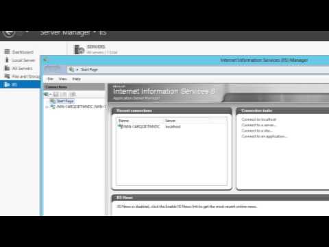 Windows Server: Installing IIS (Web Server)
