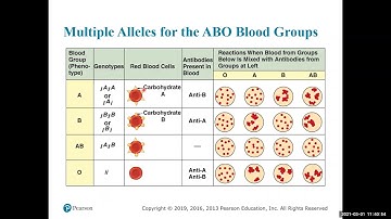 Chapter 9: Complex Inheritance Patterns