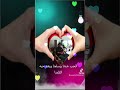 الحب خدنا وسلمنا وبعد حبه تالمنا اكسبلور الحب خدنا وسلمنا وبعد حبه تالمنا اكسبلور