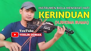 BIOLA MENYAYAT HATI - KERINDUAN H RHOMA IRAMA INSTRUMEN COVER