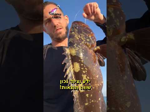 לוקוס בומבה של מעל 4 קג, כל הכבוד לעמיחי מנבחרת תלמידי פישינג אדיקטס❤️קורס דיג ז'רז'ור