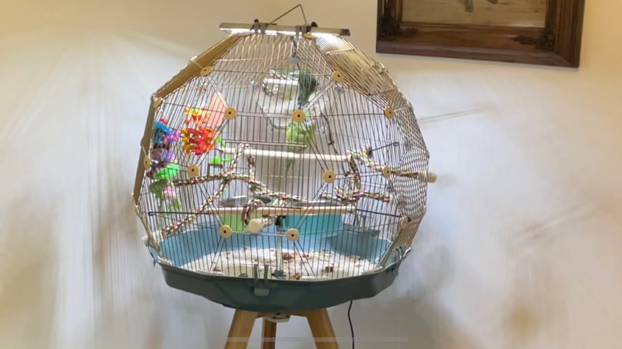 Geo Bird Cage Build From Omlet ~ With Twin Cities Adventures - Youtube