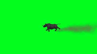 Rhino Green Screen