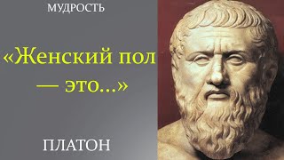 Мудрейшие Цитаты Платона Которые Изменят Вашу Жизнь | Цитаты, Афоризмы, Мудрые Слова