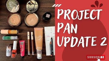 Project Pan Update 2 (March)