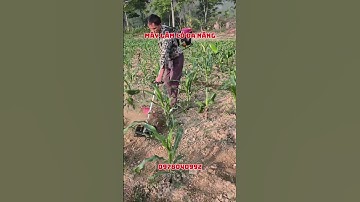 Máy làm cỏ đeo lưng #mayxoidatmini