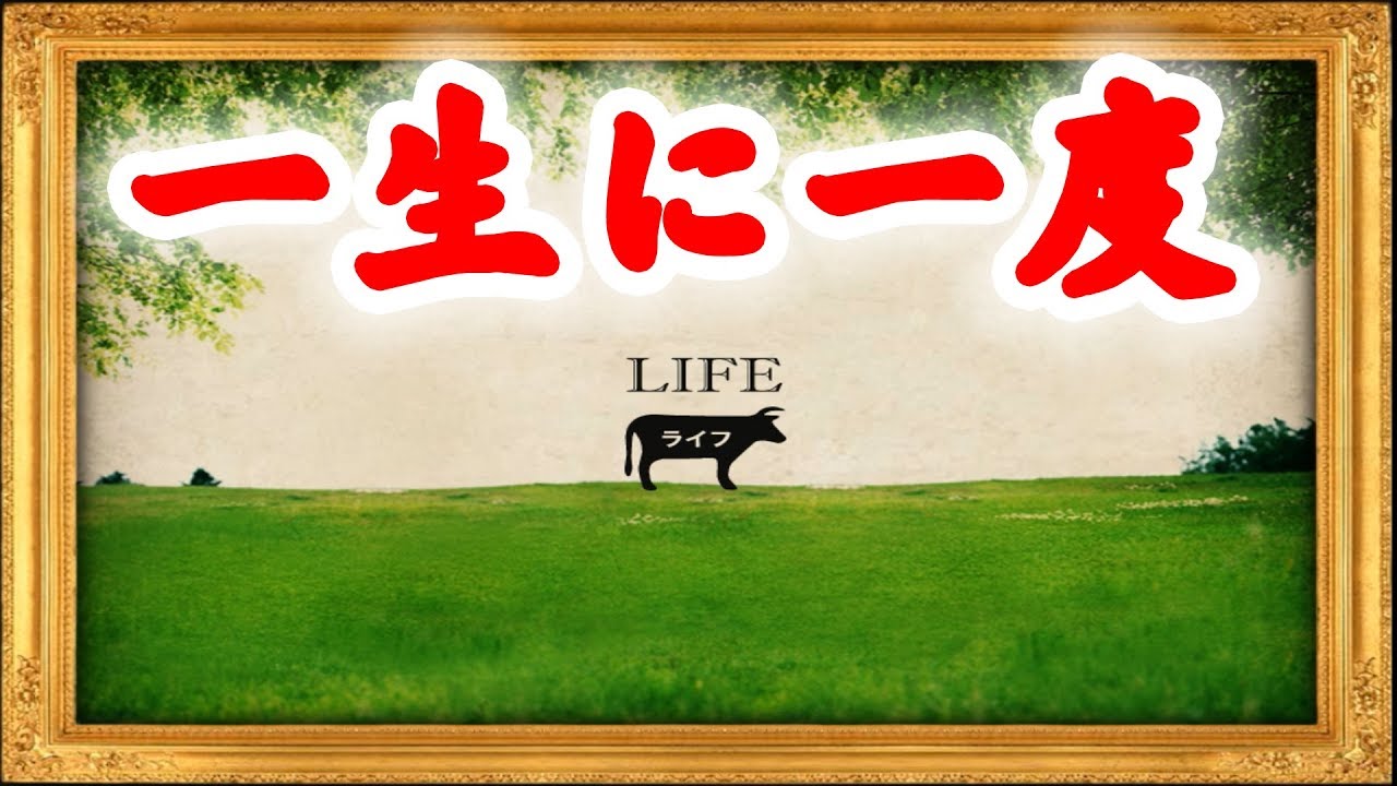 一生に一度しか遊べないゲーム Life Youtube