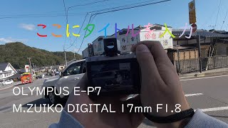 OLYMPUS E-P7 + M.ZUIKO DIGITAL 17mm F1.8 と人が多いところから逃げた日 スチルとうろつき #4