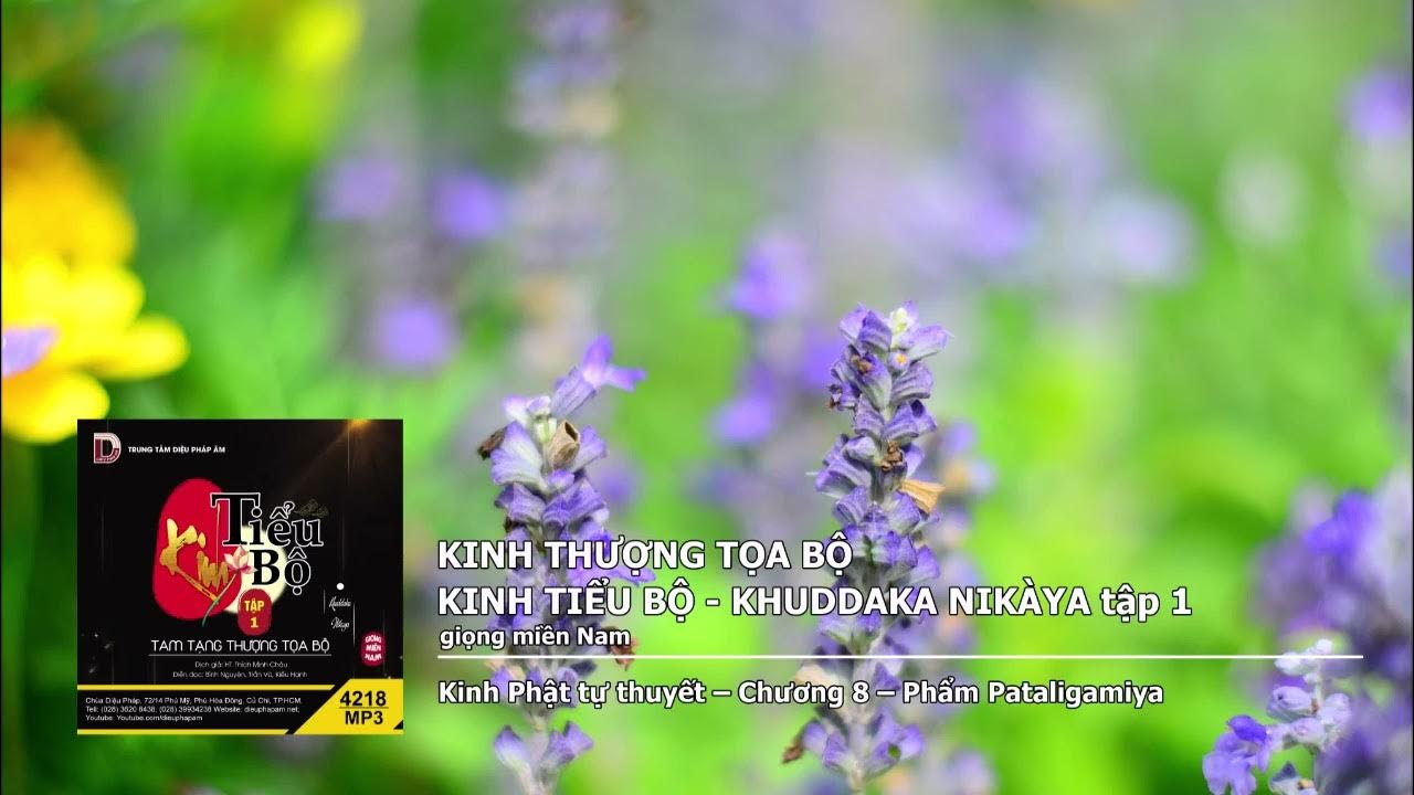 Tập 1 – K.Phật tự thuyết – Chương 8 – Phẩm Pataligamiya giọng miền Nam 