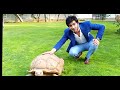 Imran abbas with tortoise  imran abbas fans official