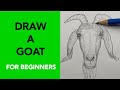 Draw a goat  easy stepbystep drawing lesson for beginners