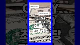 월배당 초고배당주 코니Cony에 대해 알아보자