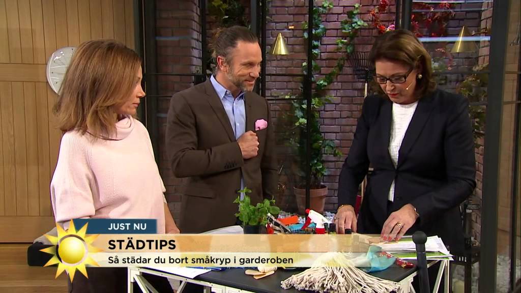 rent hus tv4 pälsängrar