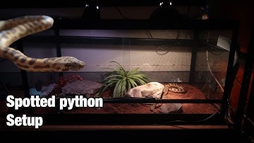 Spotted/Children’s/Stimsons Python Setup