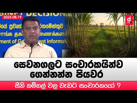සීනි කම්හල් වල වැඩට සංචාරකයෝ ? | Desawana News | Sinhala News