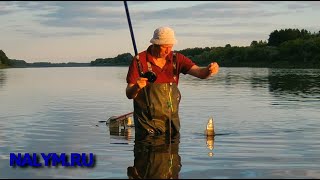 Рыбалка на Оке под Касимовом (болонская удочка, горох, август 2020)