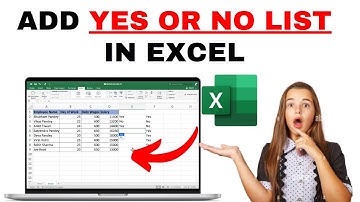 How to Yes or No Option in Excel