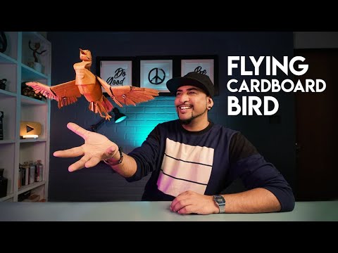 Can this Cardboard Bird fly? | HOW TO MAKE | In Hindi - YouTube