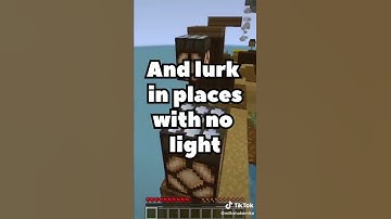 Minecraft: Can you solve this Riddle? 🤔 #shorts