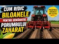 Cum ridic biloanele pentru semănatul porumbului zaharat 🌽 | Pregătirea terenului pas cu pas